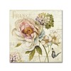 Trademark Fine Art Lisa Audit 'Marche de Fleurs III' Canvas Art, 14x14 WAP0201-C1414GG